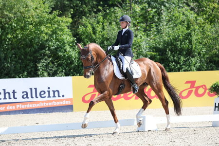 Stefanie Witzemann sicherte sich mit Viva Fürstin den Sieg in der M**-Dressur. | © D. Matthaes