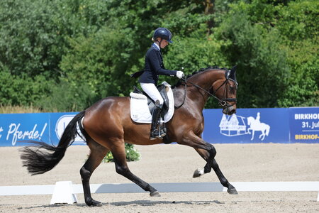 Mareike Mimberg-Hess steuerte True Diamonds zum Sieg bei den dreijährigen Reitpferden. | © D. Matthaes