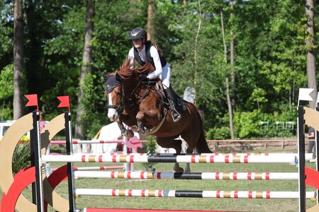 Top Ponys und top Pony Kids reiten beim Pony Spring Master mit. In diesem Jahr sind sie so gut unterwegs, dass aufgrund einer bundesweiten Serie, zu wessen Finale sich einige qualifizierten, das Pony Master Finale verschoben werden musste. 2024 waren Vroni Grüber und Densborns Leckerli erfolgreich im Pony Spring Master unterwegs..  | © DoMa (Archiv)