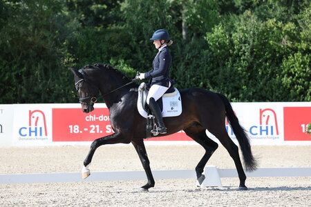 Birkhof's Sané begeisterte unter dem Sattel von Nicola Haug. | © D. Matthaes