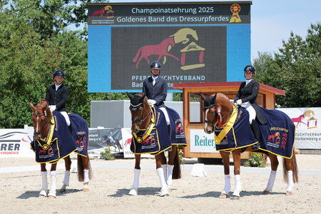 Zweimal Kühn: Nikolaus und Julia Kühn sicherte sich die Titel bei den fünf- und siebenjährigen Dressurpferden. | © D. Matthaes