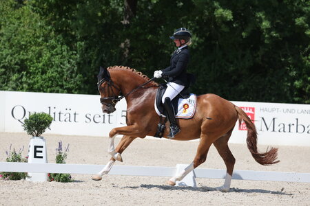 Michele Schulmerig feierte bei den Reitponys einen fulminanten Doppelsieg. | © D. Matthaes