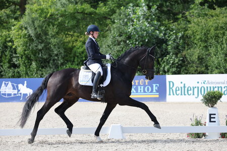 Birkhof's Sané sicherte sich überlegen den Titel bei den drei- und vierjährigen Hengsten. | © D. Matthaes