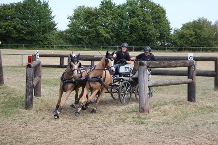 Clara Vetter holt sich heute im Gelände Platz zwei. | © Herbert Rauser