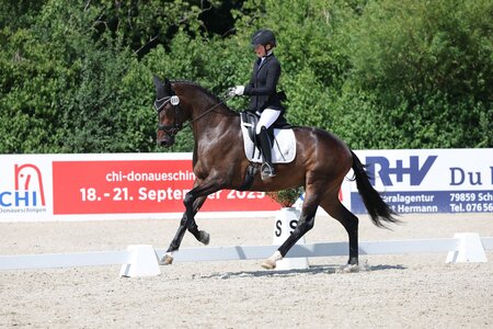 Fiene-Liene galoppierte zum Titel bei den Dreijährigen. | © D. Matthaes