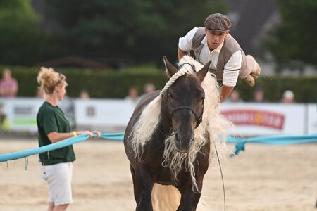Gewagte Stunts auf französischen Kaltblütern bei der Schutterwälder Pferdenacht  | © TomsPic