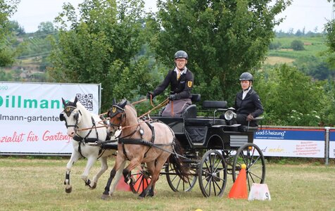 Lukas Veit wird neuer Württembergischer U25 Meister der Pony-Zweispänner | © Herbert Rauser