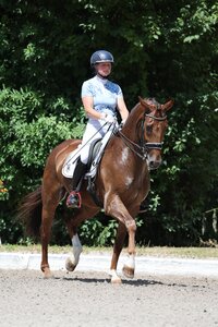 Meike Lang und ihr "Kumpel" Frizzante di Rosso sichern sich den Sieg in Aalen. | © Doris Matthaes (Archiv)