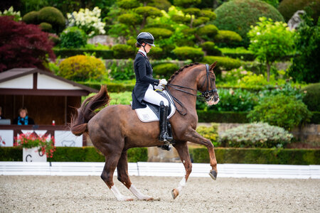 Celestine Kindler und Quotenkönig gelang bei den Europameisterschaften in Kronberg ein starker Auftakt.  | © Lukasz Kowalski
