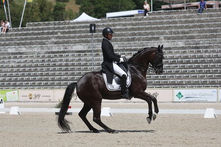 Mit ihren zentrierten Galopppirouetten konnten Timo Kemmerer und FBW Dantes Zazou auch an diesem Wochenende in Deauville überzeugen. Bereits in Marbach im vergangenen Jahr zeigten sie ihr Können, wie auf diesem Archivbild zu sehen ist. | © DoMa (Archiv)