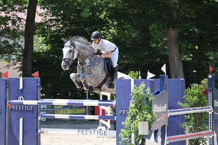 Im S*-Springen mit Siegerrunde in Ehningen konnten Marc Poppel und James Jumper auftrumpfen und zu Gold springen. | © DoMa (Archiv)