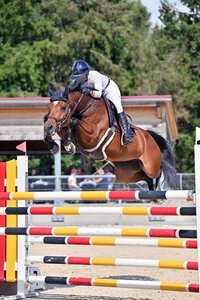 Elisabeth Meyer sicherte sich mit Let it Shine in Ingolstadt-Hagau gleich zwei S-Siege. | © Dill