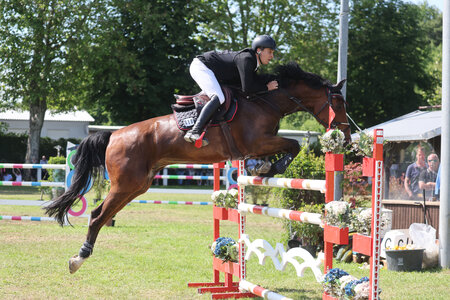 Fabian Beck mit Quintus | © D. Matthaes