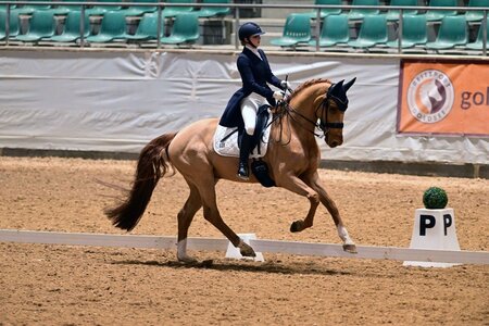Teresa Hoffmeister und Don siegen in Nürtingen | © Dill (Archiv)