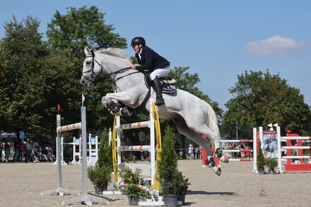 Rainer Schwab und Dum Drum konnten im hessischen Babenhausen im S*-Springen Platz vier sichern. | © DoMa (Archiv)