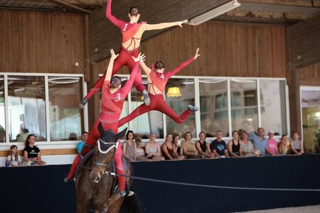 Die Gruppe des RFV Ulm-Wiblingen fährt auch zur DM nach München | © Doris Matthaes (Archiv)