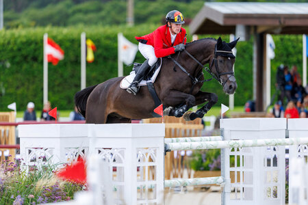Marcus Ehnings Collie wurde von Baden-Württemberger Marcel Marschall in den schweren Sport gebracht. | © Lafrentz