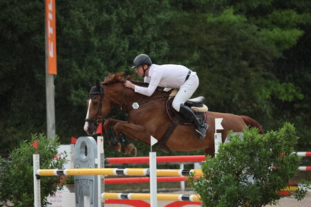 Lollita und Christian Pfeifer springen nicht nur zur goldenen Schleife, sondern auch zum Goldenen Reitabzeichen. | © D.Matthaes