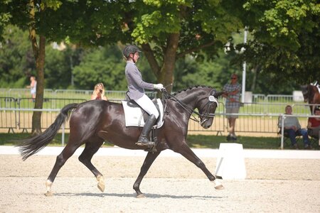 Ines Binder und Ferrero Küßchen sichern sich heute den Sieg in Bad Friedrichshall | © Dill (Archiv)