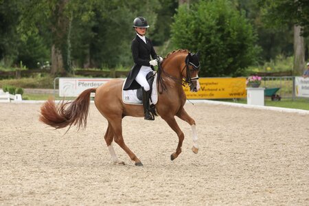 Ann-Cathrin Rieg und Steendieks Derrick siegten in der ersten S***-Prüfung von Ichenheim. | © D. Matthaes (Archiv)
