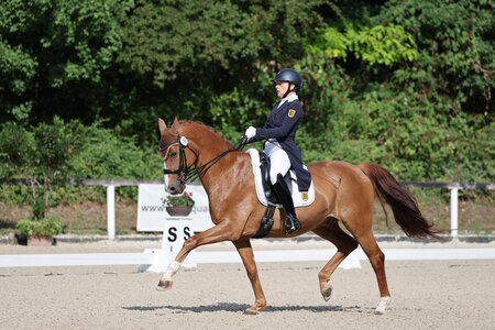Gabriele Matthes mit Escostar durfte in Ichenheim nicht starten.  | © D. Matthaes