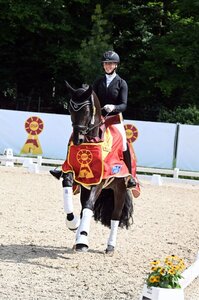 DSP Birkhof's Elocin sicherte sich unter dem Sattel von Anna Casper bei den fünfjährigen Dressurpferden die Siegerschärpe. | © Dill