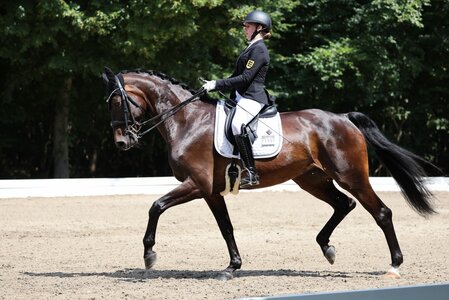Nina Bäuerle und Faithful Hope trabten im Championat Junioren zum Titel. | © D. Matthaes