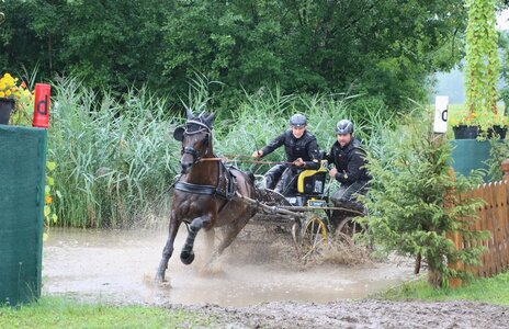 Dominik Hamm gestern im Gelände auf dem Haupt- und Landgestüt Schwaiganger | © Herbert Rauser 