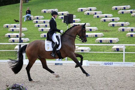 Moritz Treffinger sicherte sich mit Vincero den Sieg in der Intermediaire I des iWEST Dressur Cups. | © D. Matthaes