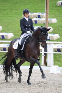 Sabina Schrödter und Feine Bella NRW trabten erneut zum Sieg. | © D. Matthaes