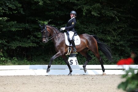Nina Bäuerle trabte in Öhringen mit Faithful Hope zum ersten M-Sieg. | © D. Matthaes