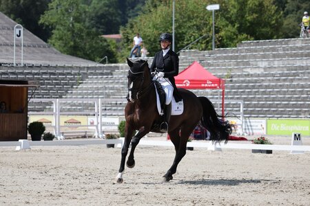 Nicole Casper und Zabalou siegten auch in der zweiten Marbacher S***-Dressur. | © D. Matthaes