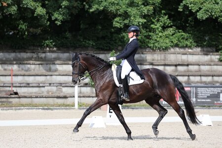 Beim Reitturnier in Waiblingen hatten Sabine Klenk und Mattheo ihren letzten gemeinsamen Turnierstart. | © D. Matthaes