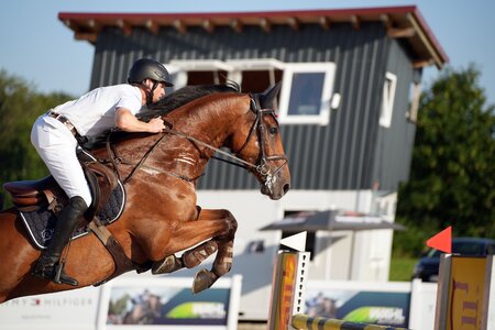 Max Ziegler und Duc de l'Impermeable sichern sich mit der einzigen Doppelnull-Runde verdient den Sieg im Großen Preis von Memmingen. | © Dill
