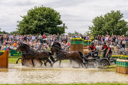Michael Brauchle hatte sich mit starken Erfolgen in den Disziplinen die Bronzemedaille der Deutschen Meisterschaft der  Vierspänner Fahrer 2025 gesichert. | © Lafrentz (Archiv)