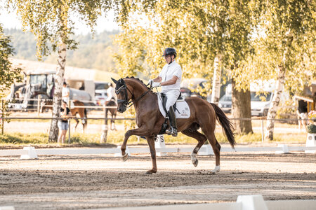 Bundesweit die Nummer eins:  C’cinzano unter Pieter van der Raadt  | © Laura Beying 