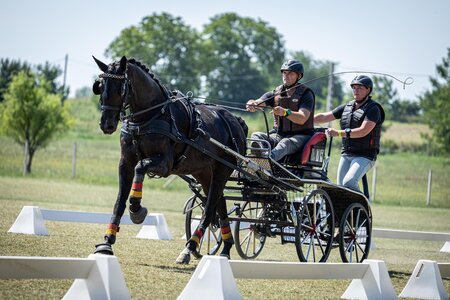 Weltmeister der Siebenjährigen wurden DSP Fenne Lilly und Lars Krüger. | © Hippoevent/Jagoda Karpińska