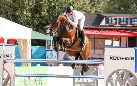 Pumbaa unter Mario Walter im ersten schweren Springen von Killingen. | © Janina Sanwald