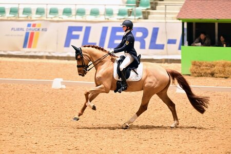 Teresa Hoffmeister und ihr Don Clorentino des Paluds sind ein richtiges Dreamteam. | © Dill (Archiv)
