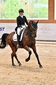 Corinna Butscher und Royal Universe punkten in Bad Wurzach mit einer harmonischen Runde. | © Dill (Archiv)