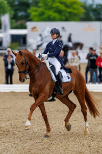 Carina Harnisch und DSP Sheldon Cooper trabten in Görlitz zu den nächsten internationalen Platzierungen. | © Lafrentz