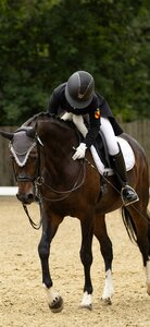 Genya Grishaber trauert um ihre Stute Divina - war es das West-Nil-Virus? | © Foto: Carmen Gissler