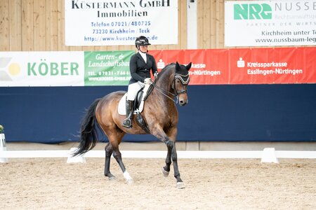 Gutes Reiten führt zur Meisterschaft: Naja Tribusser mit Dr. Snuggle | © Caroline G Fotografie