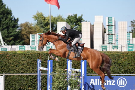 Rossen Raytchev mit seinem Sieger Chad Calypso | © D. Matthaes