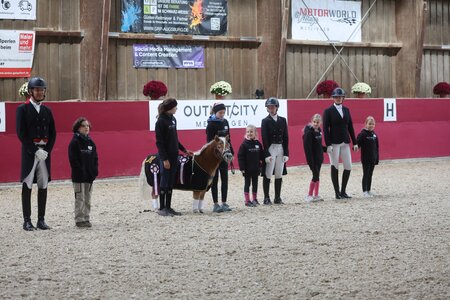Auch in diesem Jahr wird es beim Dressurturnier in Reutlingen eine Kindereskorte geben. | © D. Matthaes
