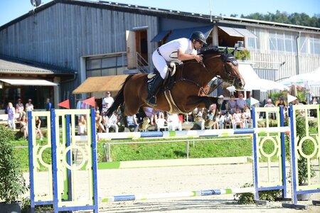 Beni Wulschner und Diamant de Plaisir  siegen auch zum Auftakt in Bietigheim-Bissingen | © Mimi Jaufmann