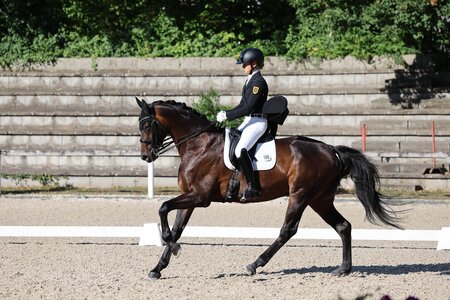 Louisa Reisch und ihr Sportpartner Bandol spielen ganz vorne mit. | © Doris Matthaes (Archiv)