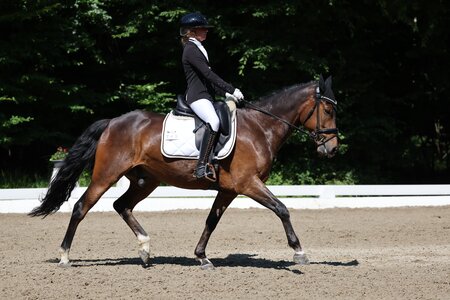 Valentina Osswald siegt in der Dressur mit ihrem siebenjährigen Wallach Duncan Mc Leod 6 | © Doris Matthaes (Archiv)