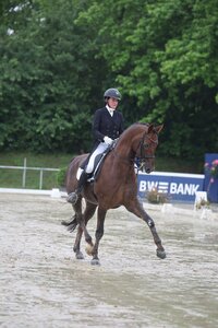 Martina Steisslinger und Favory trabten in Mainz zu einem S***-Sieg. | © D. Matthaes