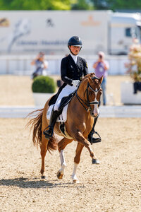 Ann-Cathrin Rieg und Steendieks Derrick punkteten bei der Piaff Förderpreis Qualifikation in Pinneberg. | © Lafrentz
